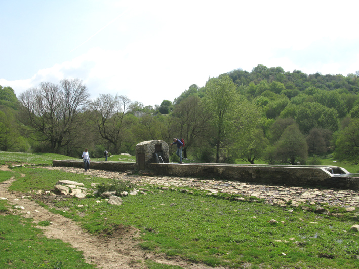 Fontanili del Lazio